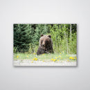 Roadside Bear - Print