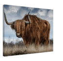 Roaming Yak - Print