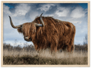 Roaming Yak - Print