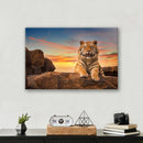 Safari Tiger - Print