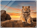 Safari Tiger - Print
