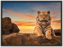 Safari Tiger - Print