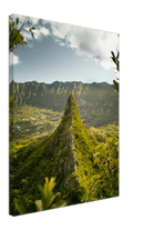The Big Island - Print