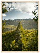 The Big Island - Print