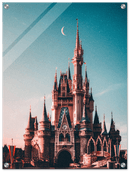 Walt Disney Castle - Print
