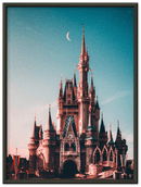Walt Disney Castle - Print