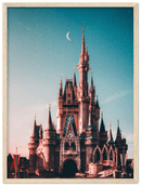 Walt Disney Castle - Print