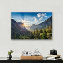 Yosemite Forest Print Metal Wall Art – California National Park Nature Wall Decor