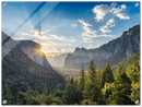 Yosemite Forest - Print