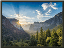 Yosemite Forest Print Metal Wall Art – California National Park Nature Wall Decor