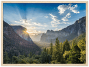 Yosemite Forest - Print