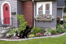Cat Garden Stake - Metal Art