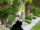 Gorillas Garden Stakes - Metal Art