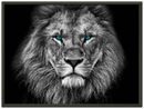 Lion Head Print Metal Wall Art – Wildlife Majestic Animal Wall Decor
