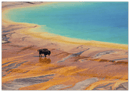 Yellowstone Prismatic Spring Print Metal Wall Art – Wyoming National Park Colorful Decor