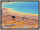 Yellowstone Prismatic Spring Print Metal Wall Art – Wyoming National Park Colorful Decor