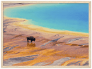 Yellowstone Prismatic Spring Print Metal Wall Art – Wyoming National Park Colorful Decor