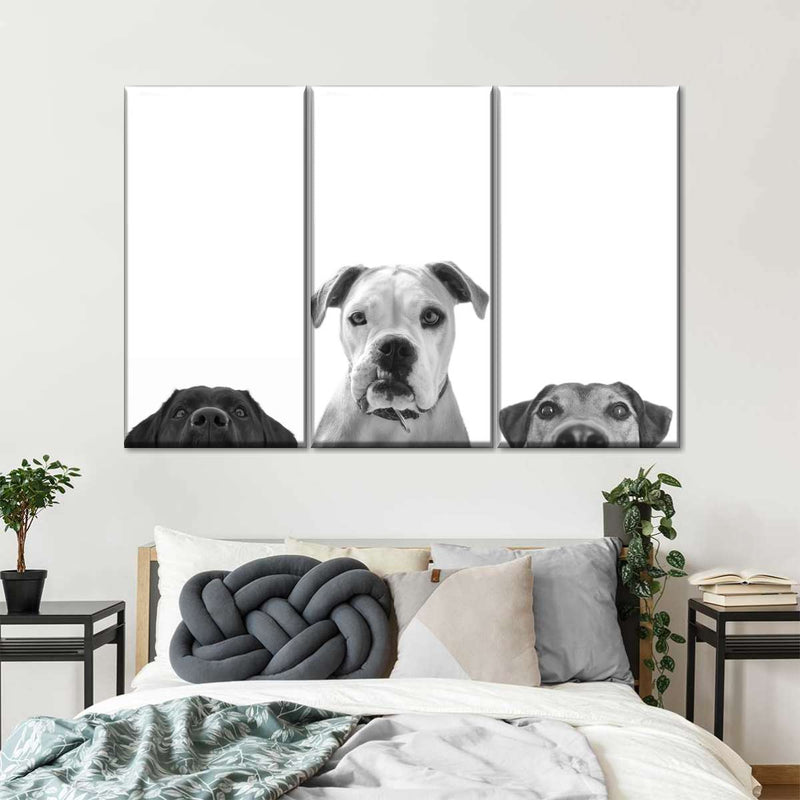 Curious Dogs Wall Art