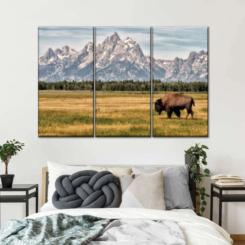 Bull Bison In Grand Teton Wall Art