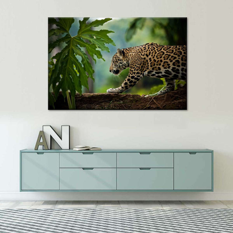 Sneaky Jaguar Wall Art