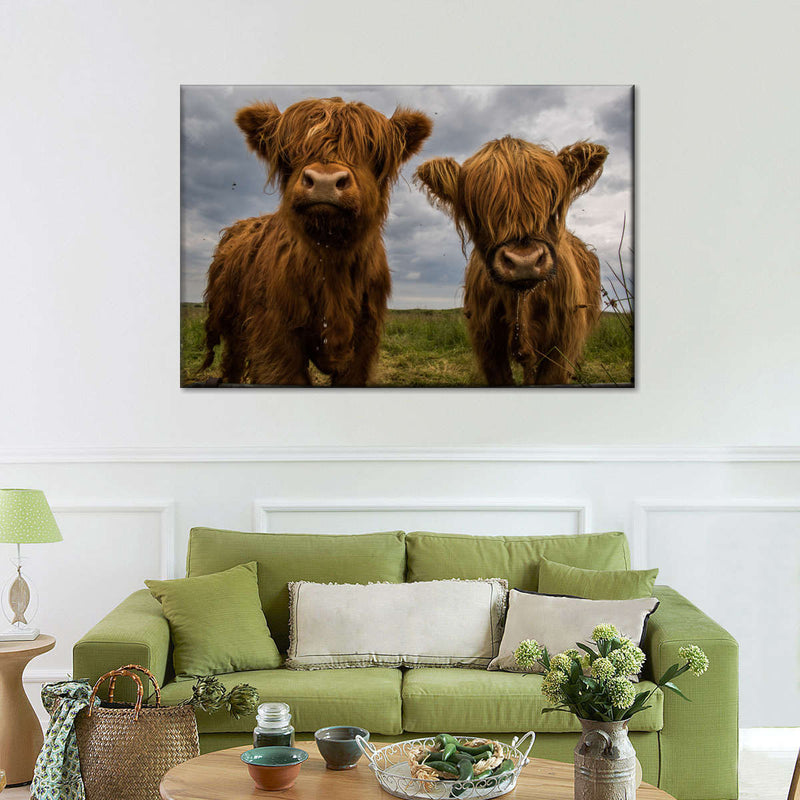 Baby Highland Cows Wall Art