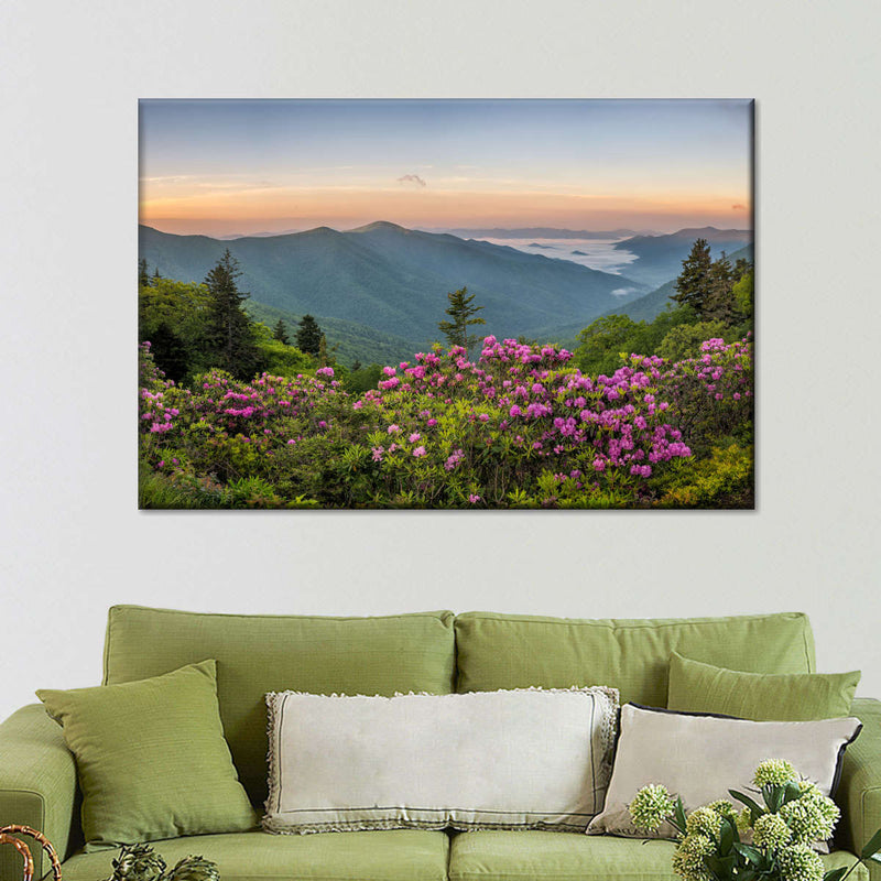 Blue Ridge Mountains View Wall Art