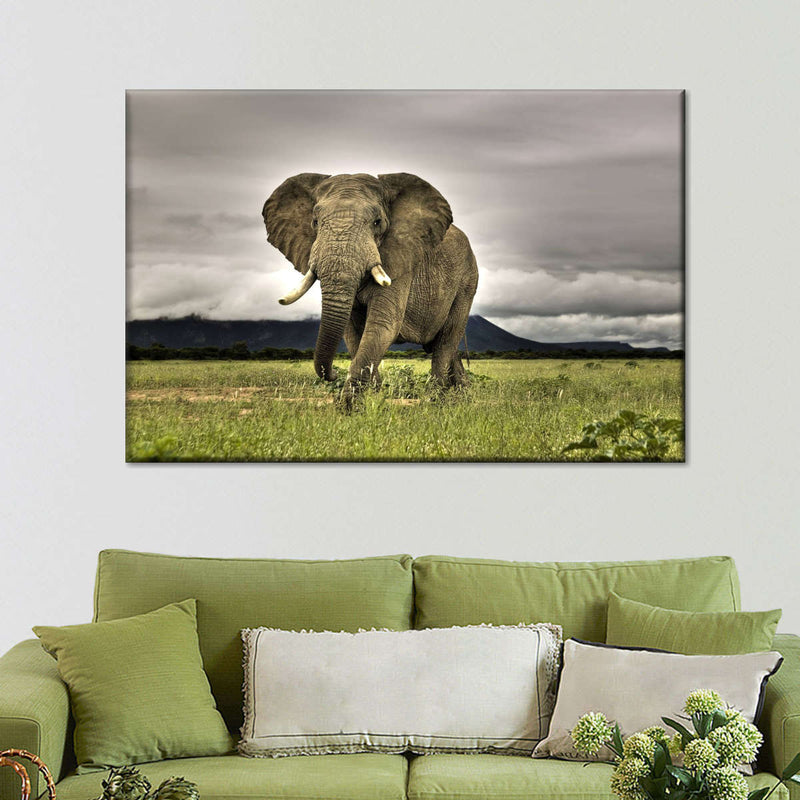 Elephant Landscape Wall Art