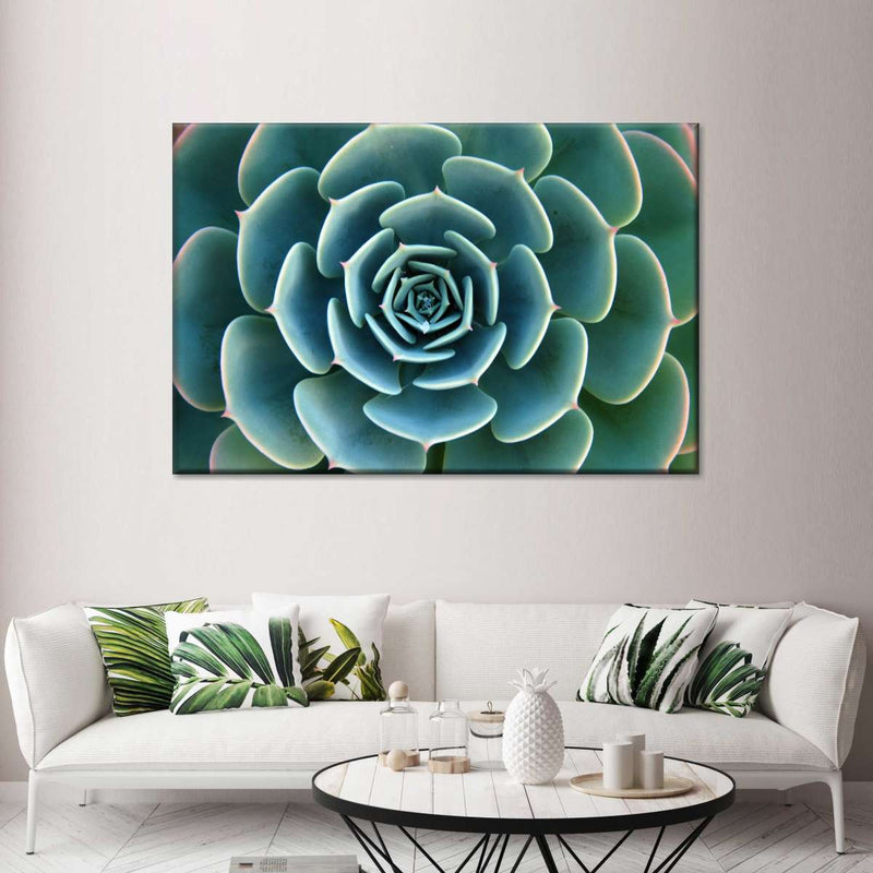 succulent wall mural Live Succulent Wall Art