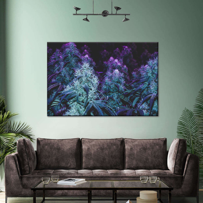 Flowering Purple Cannabis Wall Art