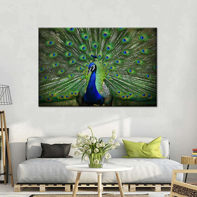 Peacock Feathers Wall Art