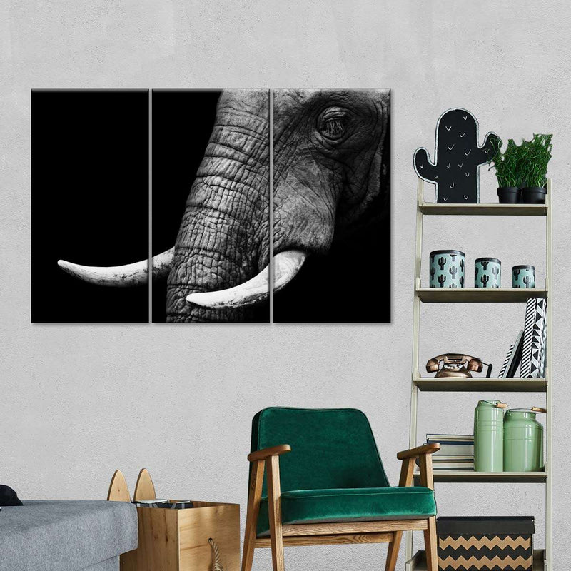 Elephant Close Up Wall Art