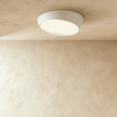 Mia Ceiling Light