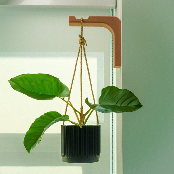 modern hanging plants indoor Minimal Modern Hanging Planter Wall Hook