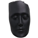 Minimalist black & gold abstract face sculpture living room decor