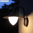 DecorBites™ Minimalist LED Wall Sconce with Black Metal Gooseneck Arm - Strawberry Garden Mount Light