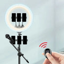 Minimalist black & white led ring light bedroom phone holder color temperature