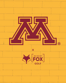 NCAA - Minnesota