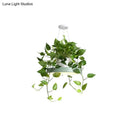 DecorBites™ Brooklyn - Round Macaron Round Hanging Light Acrylic LED Pendant Lighting Fixture in Black/Grey/White with Top Plant Pot