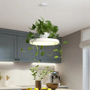 DecorBites™ Brooklyn - Round Macaron Round Hanging Light Acrylic LED Pendant Lighting Fixture in Black/Grey/White with Top Plant Pot