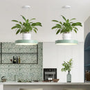 DecorBites™ Brooklyn - Round Macaron Round Hanging Light Acrylic LED Pendant Lighting Fixture in Black/Grey/White with Top Plant Pot