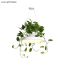 DecorBites™ Brooklyn - Round Macaron Round Hanging Light Acrylic LED Pendant Lighting Fixture in Black/Grey/White with Top Plant Pot