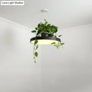 DecorBites™ Brooklyn - Round Macaron Round Hanging Light Acrylic LED Pendant Lighting Fixture in Black/Grey/White with Top Plant Pot