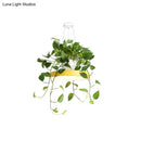 DecorBites™ Brooklyn - Round Macaron Round Hanging Light Acrylic LED Pendant Lighting Fixture in Black/Grey/White with Top Plant Pot