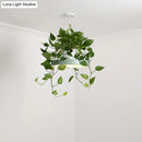 DecorBites™ Brooklyn - Round Macaron Round Hanging Light Acrylic LED Pendant Lighting Fixture in Black/Grey/White with Top Plant Pot
