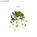 DecorBites™ Brooklyn - Round Macaron Round Hanging Light Acrylic LED Pendant Lighting Fixture in Black/Grey/White with Top Plant Pot