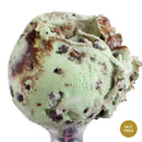Mint Cookie Crunch Ice Cream | Pack of 4 | One Pint | Shipping Included | eCreamery