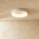 Miray Ceiling Light