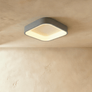 Miray Ceiling Light