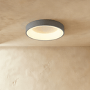 Miray Ceiling Light