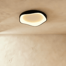 Miray Ceiling Light